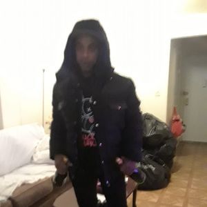 Meet your Posher, Harold